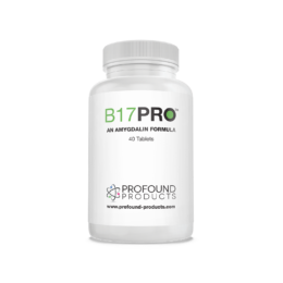 B17Pro™