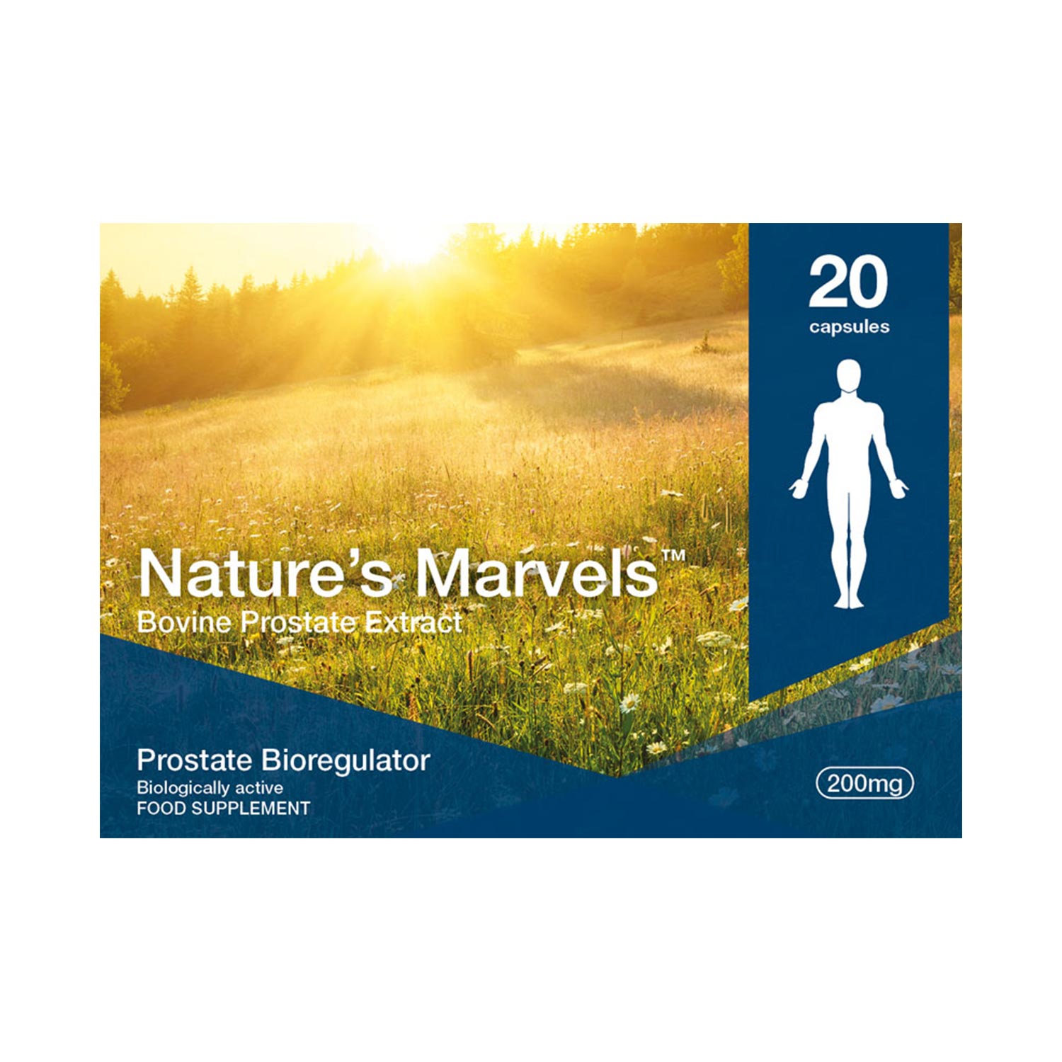 Prostate Bioregulator (Nature’s Marvels™)